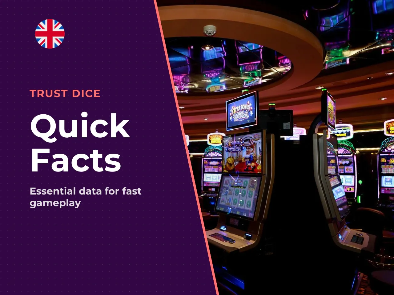 Key facts in 30 seconds