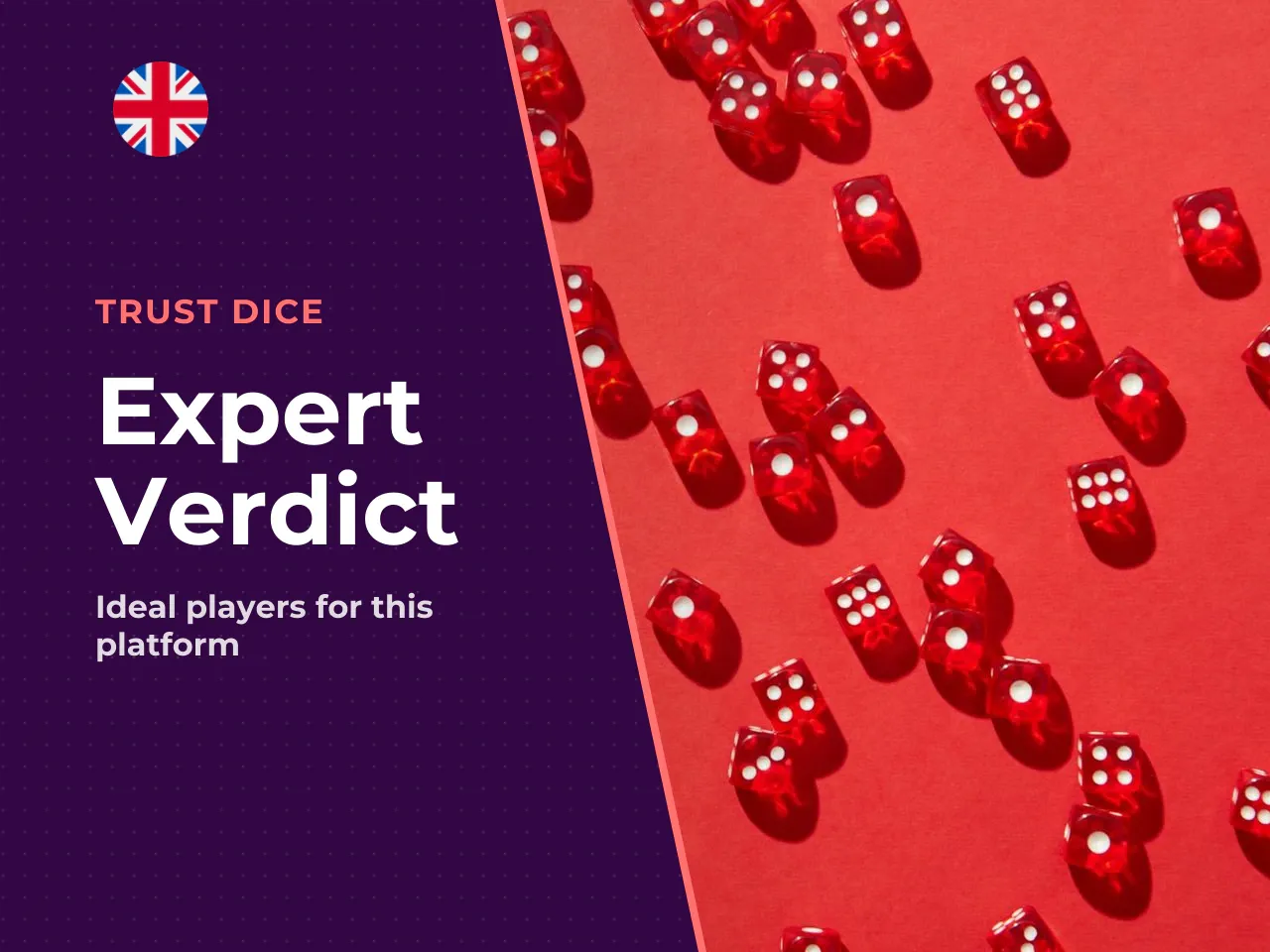 Verdict Who TrustDice Actually Suits. TrustDice